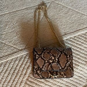 Snake Skin Mini Purse with Gold Chain